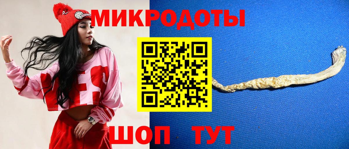 Кохма  Галлюциногенные грибы Cubensis  закладки  Вход с VPN 